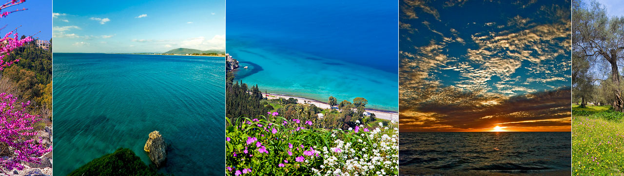 lefkada agrilides facilities